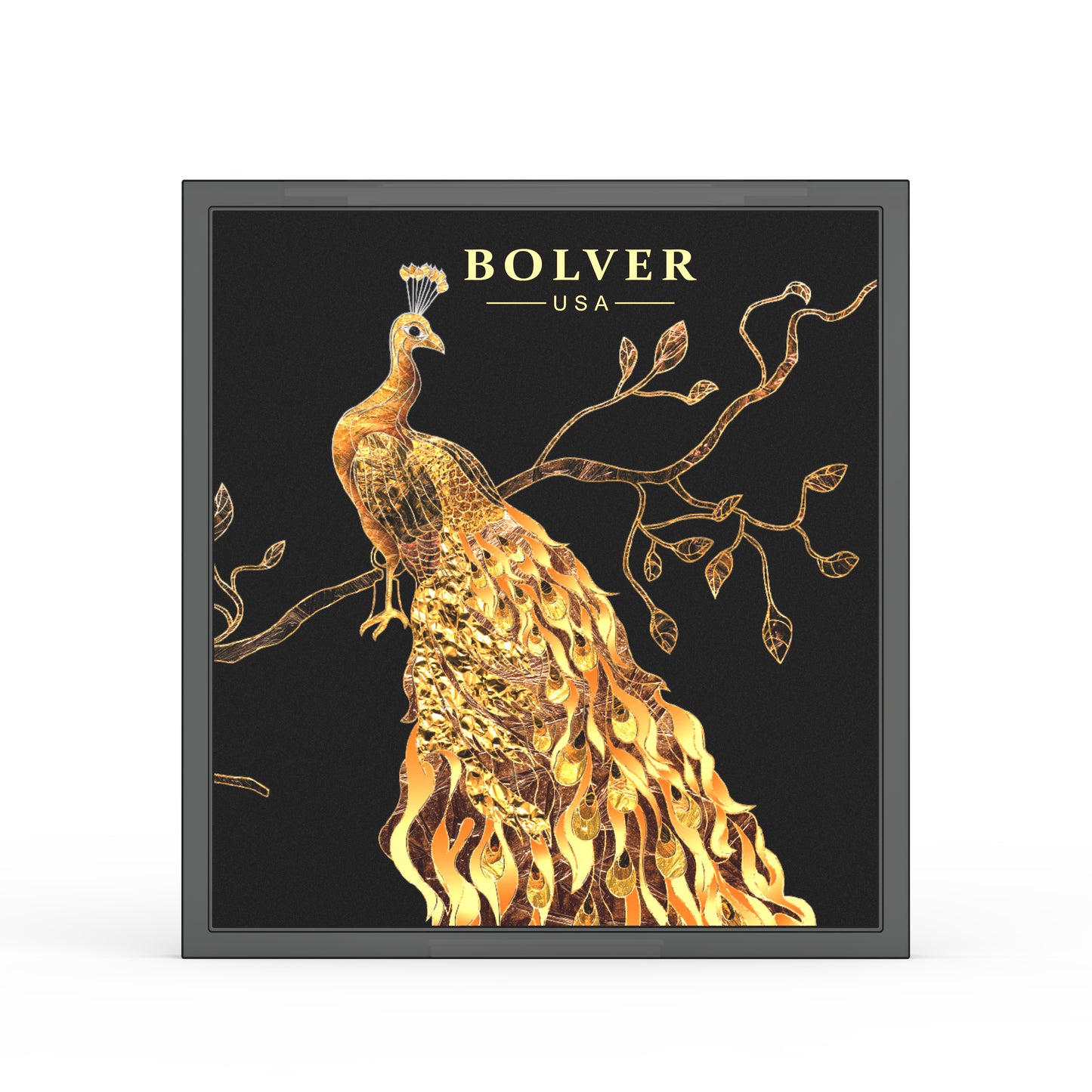 BOLVER USA 9 COLOR EYESHADOW E04 - ORION